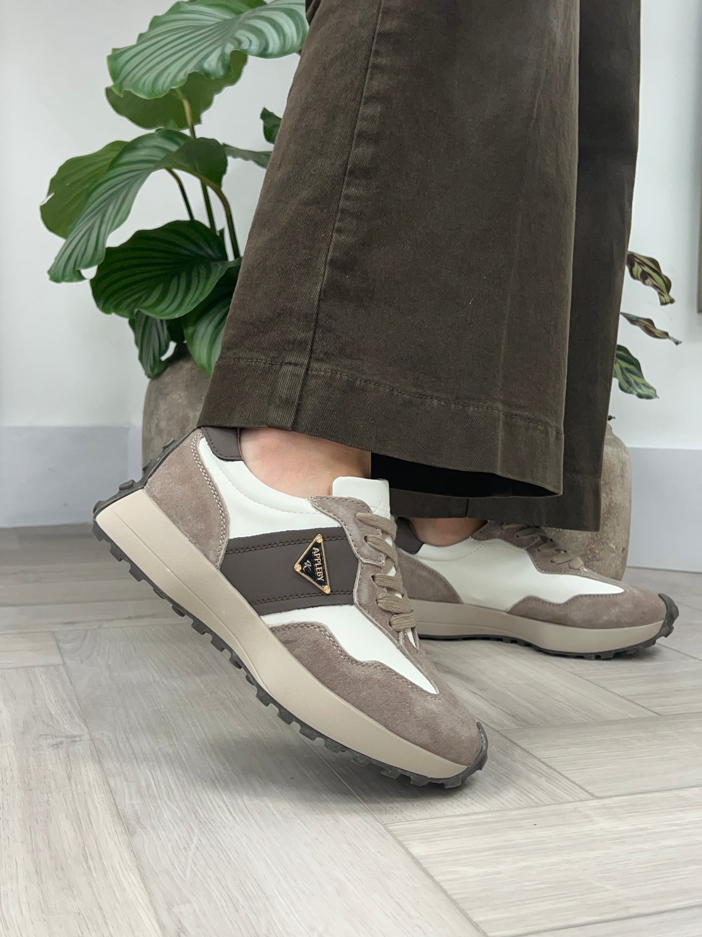 Kate Appleby ‘Caithness’ Trainer
