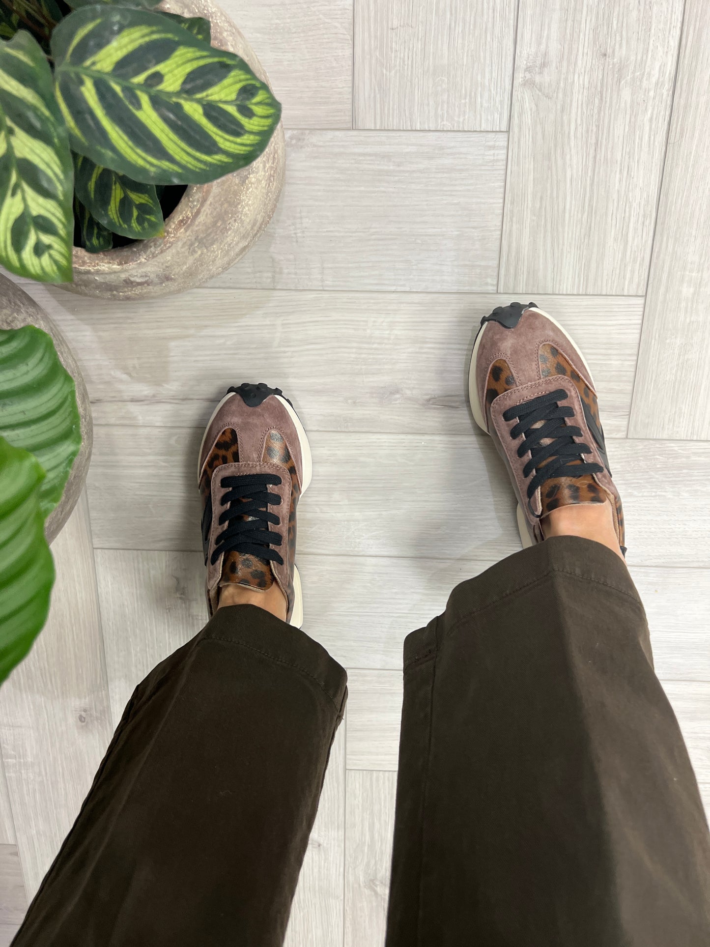 Kate Appleby ‘Clément’ Trainer - Jaguar