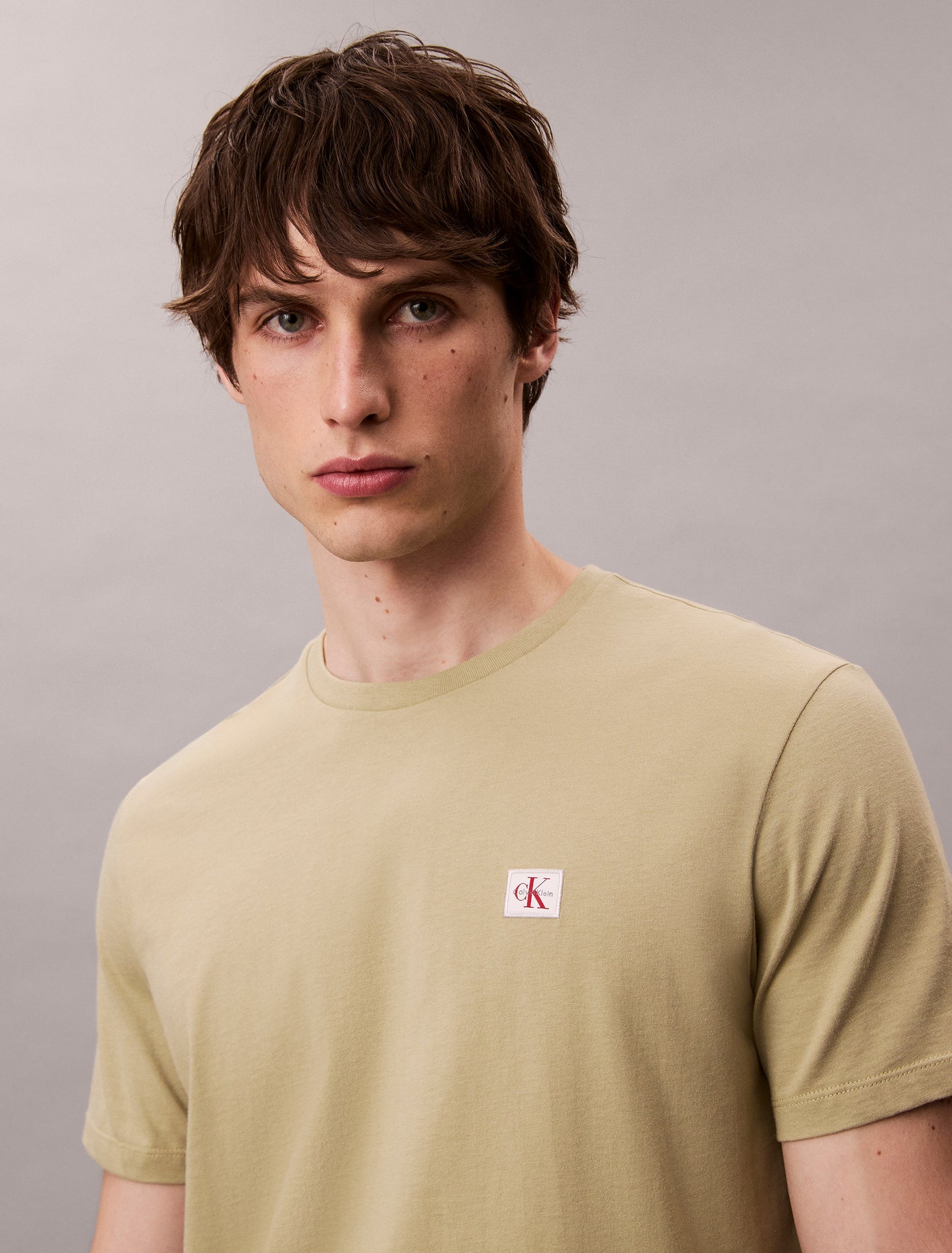 Badge 30s Jersey Classic Tee - Cedar