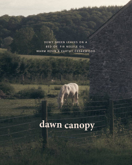 Dawn Canopy | Green + Earthy Soy Candle