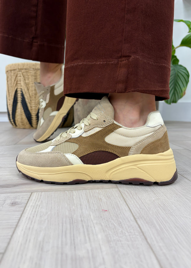 Newile Sneaker - Taupe/Burgundy Suede