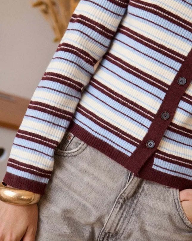 Rubie Vintage Striped Cardigan - Blue/Burgundy