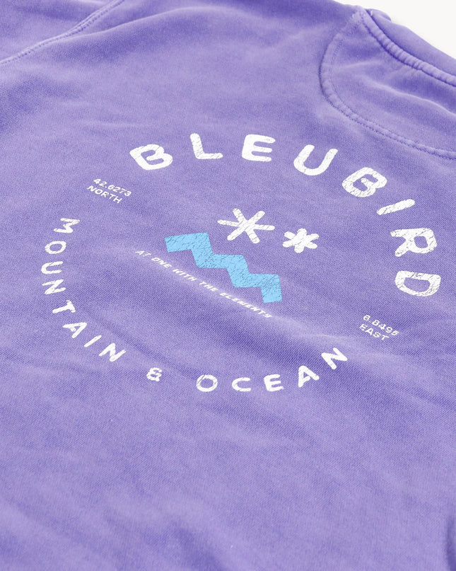 Violet Original Crew