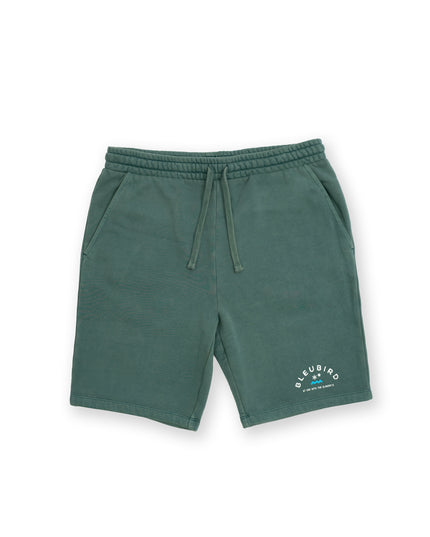 Willow Original Mens Shorts