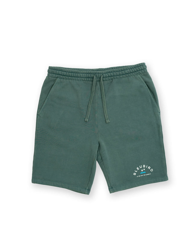 Willow Original Mens Shorts