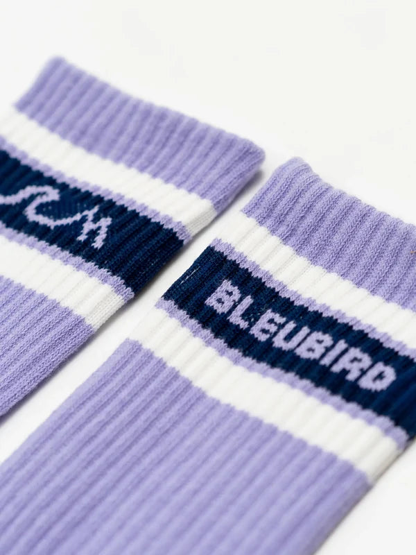 Cruiser Socks - Lavender & Purple