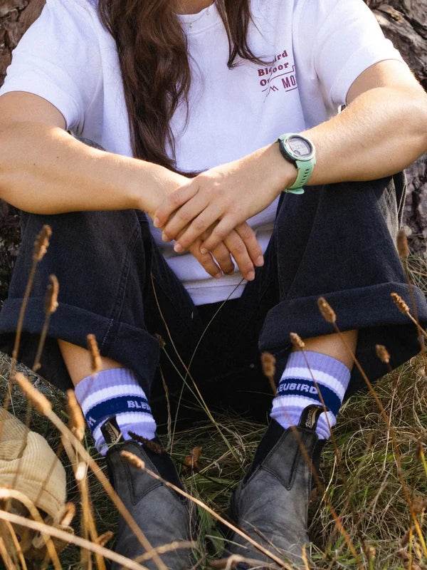 Cruiser Socks - Lavender & Purple