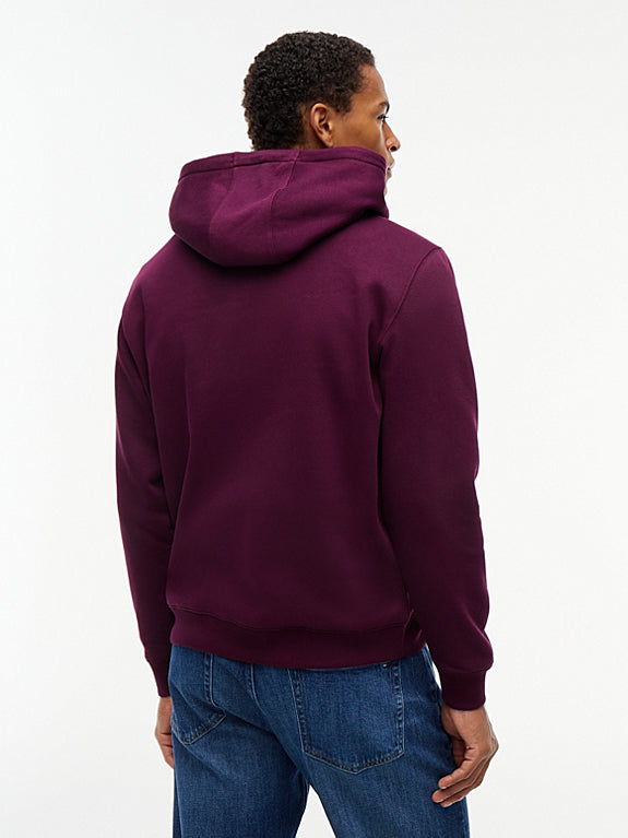 Flag Embroidery Fleece Drawstring Hoody Calypso Berry