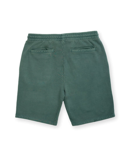 Willow Original Mens Shorts